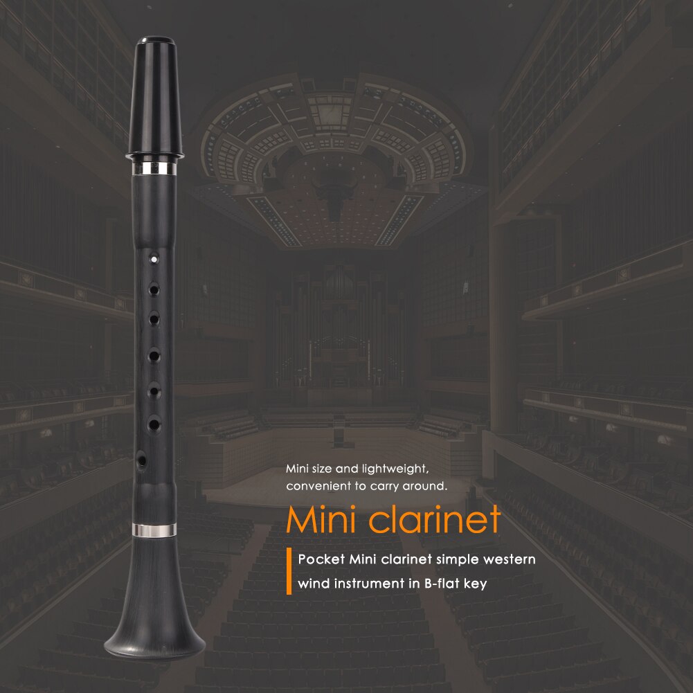Mini Bb B Flat Clarinet Clarionet Woodwind Instrument for Beginners Practice Musical Instrument for Tyro Music Lover
