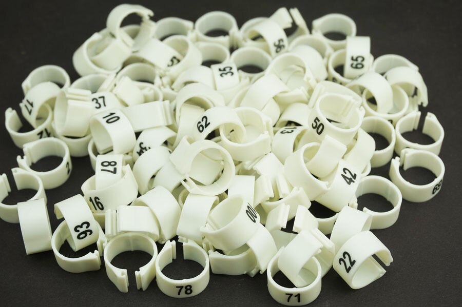 100 PCS/Lot White 14MM Dia 001-100 Numbered Chicken Leg Bands duck Chicken Goose Pet Rings