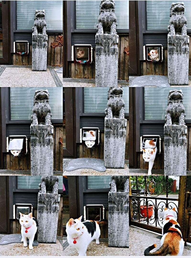 Dog Cat Flap Door with 4 Way Security Lock Flap Door For Dog Cats Kitten ABS Plastic Small Pet Gate Door Kit Flap Doors