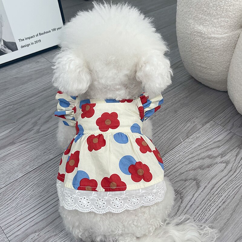 Letnia sukienka dla psa kot sukienki dla szczeniąt Chihuahua pomorskie Shih Tzu maltese Yorkshire pudel Bichon odzież dla małych psów spódnica