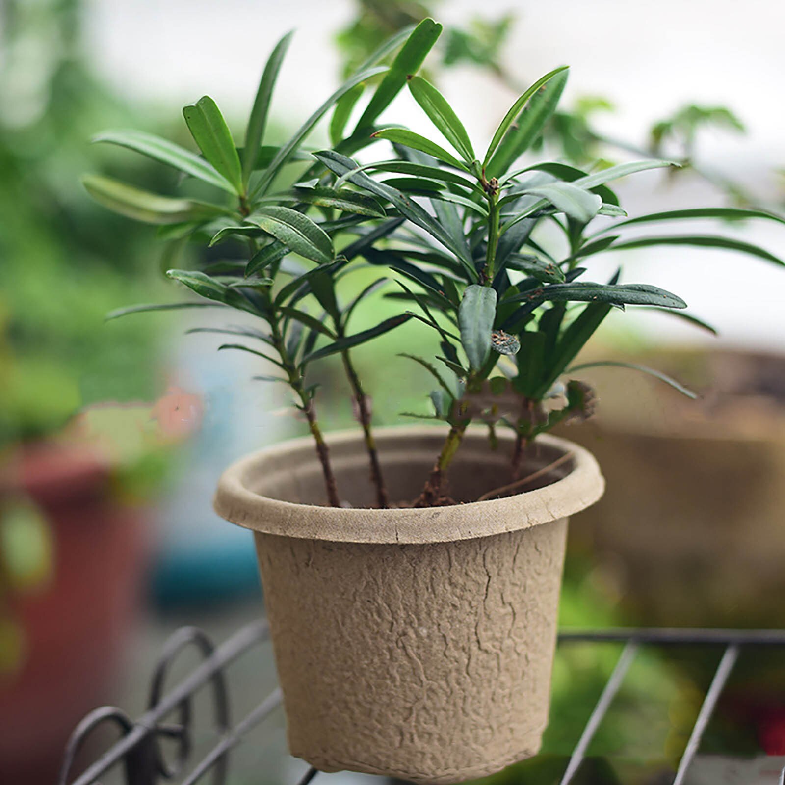 Garden Supplies Nursery Pots Pulp Peat Pot Plant Cup Tray Flowers Potted Plant Grow Garden Tools