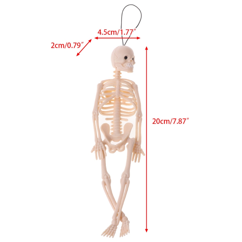 Skeleton Human Model Skull Full Body Mini Figure Toy Phone Hanger Halloween