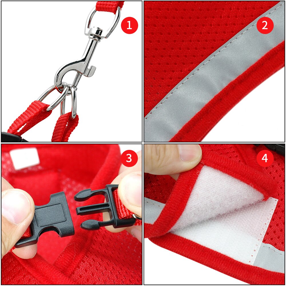 Embroidered Cat Walking Harness with Lead Leash for Cats and Puppies, Vest Style Chest Strap Harness