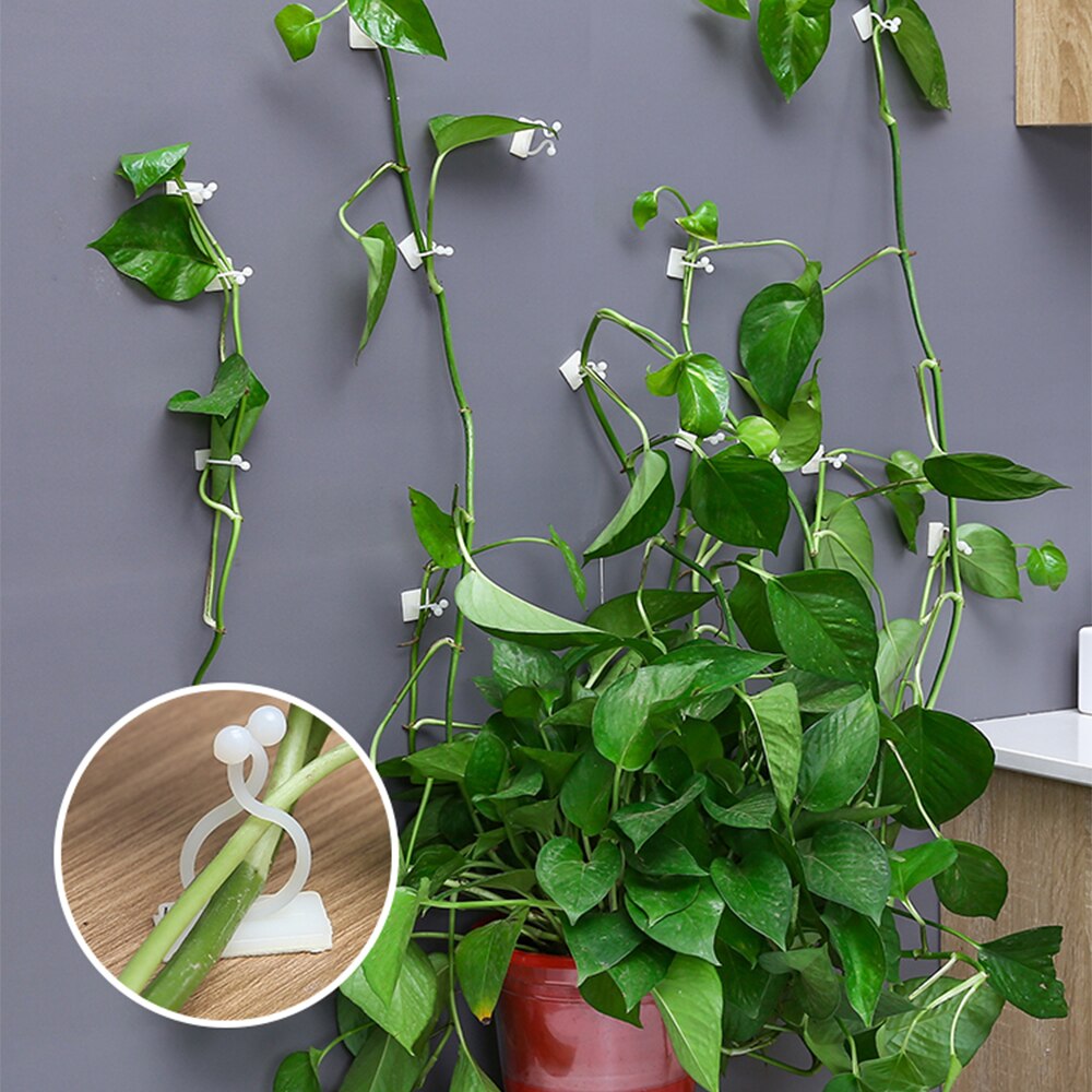 Fixation-planta verde de eneldo verde para escalada en pared, Cesta Verde para escalada de vid, colgante de pared, estereotipado para el hogar, 50 Uds.