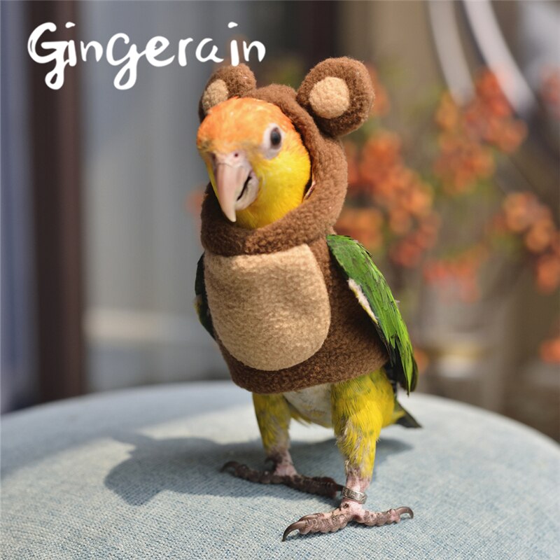 Gingerain Vogel kleding Papegaai kleding Beer originele handgemaakte custom vogel kleding Hooded Trui Beer