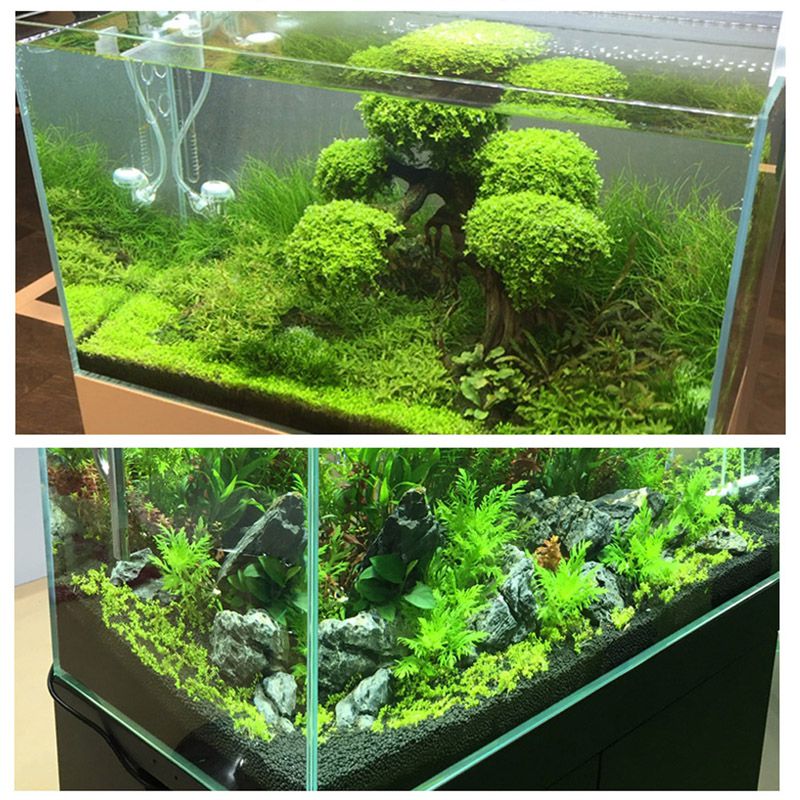 Planta de acuario no tóxica, sustrato de acuario negro, planta de grava para cultivo de agua, accesorios para acuario