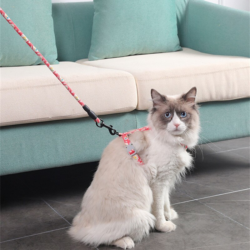 Cat Hand Holding Rope cat chain cat traction rope chest strap pet safe gentle leader come with me kitty harness bungee leash