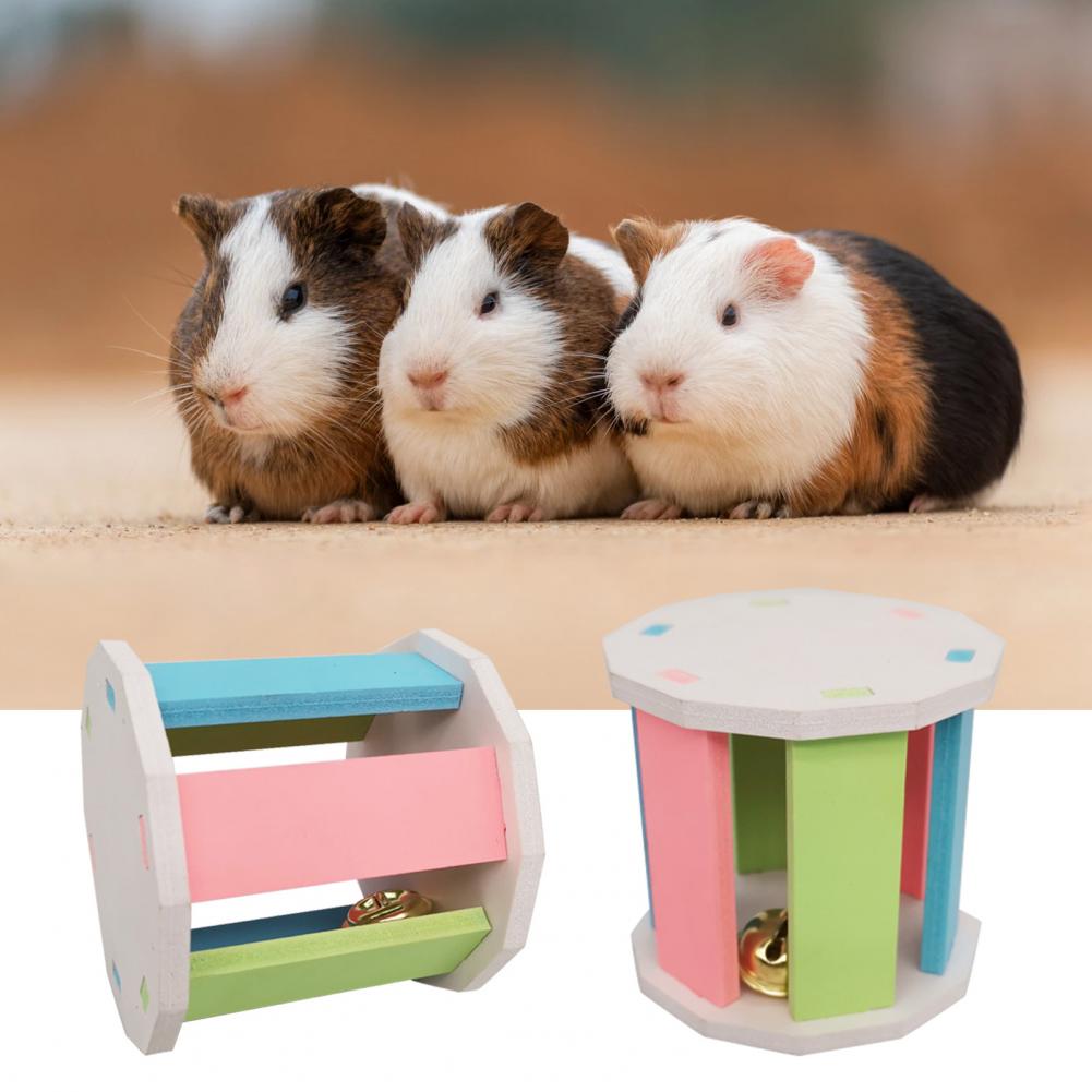 Practical Hamster Toy Eco-friendly Exercise Traini... - Grandado - Hamster Friendly Toys