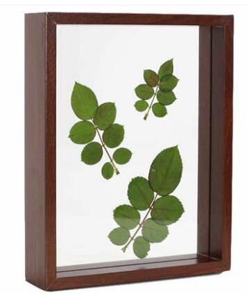 SUFEILE Plant specimen Picture frame 6 inch solid wood decorative frame DIY wood High-definition glass frame D50: brown / 5 inch