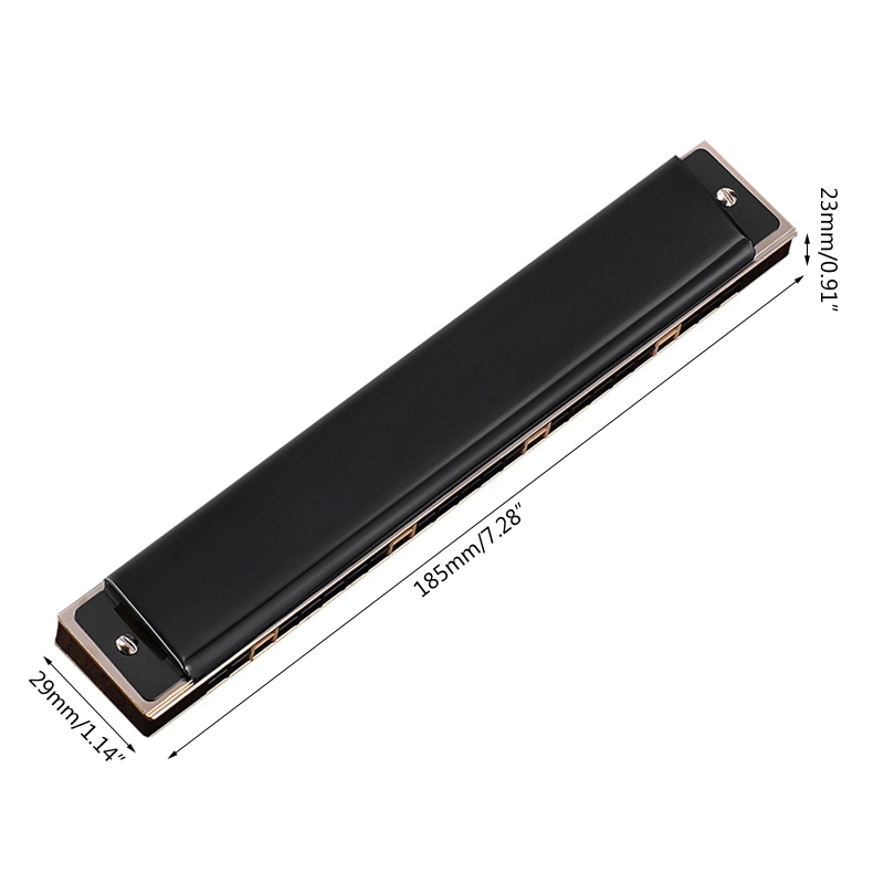 N0HA 24-Hole Tremolo Harmonica Performance Competition Mouth Organ with Hard Case, Key of C for Beginners &amp; Adults