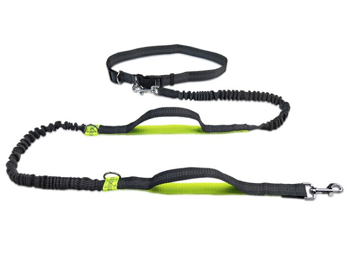 Reflekterende bånd trekktau kjæledyr hund løpebelte elastisk hender fritt jogging trekk hundebånd metall d-ring bånd: 3