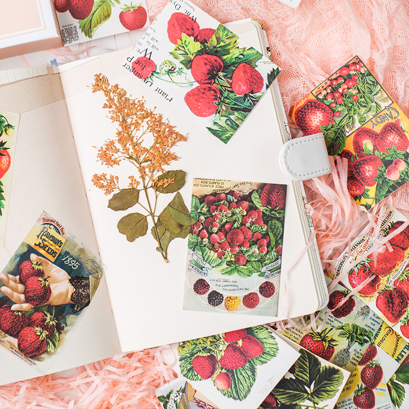 3D Square Strawberry Card Stickers Scrapbooking Stick Label Diary Album Decoration Material Stickers Classic Toy