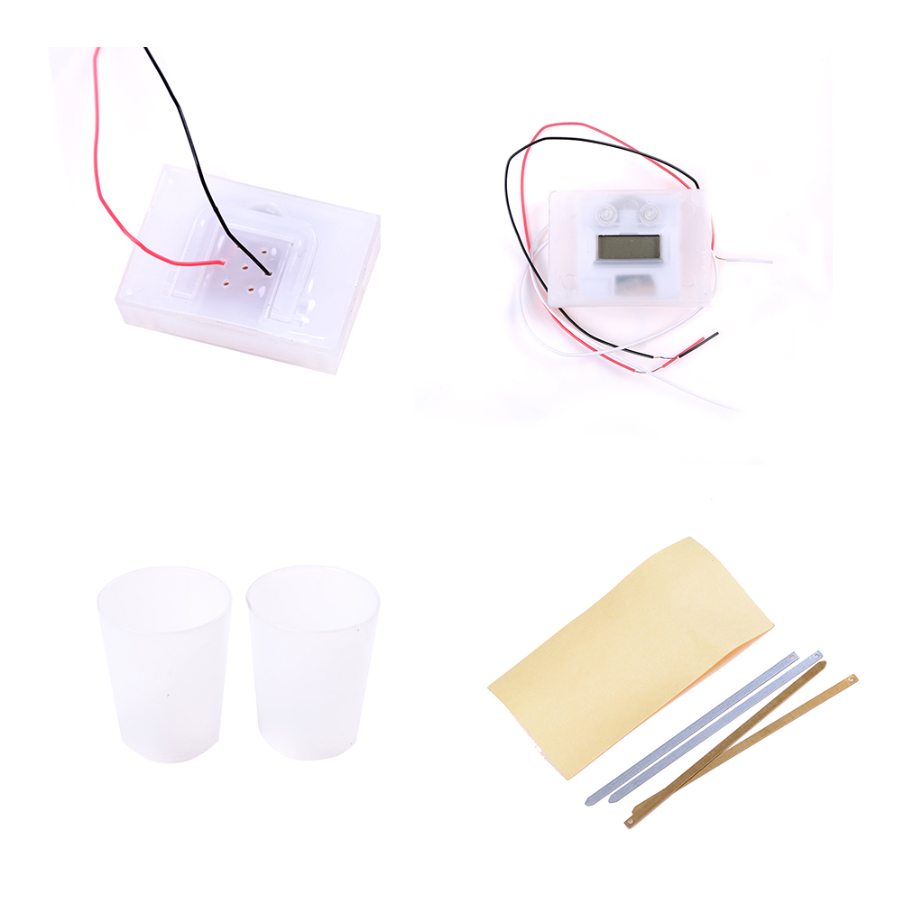 Reloj de patata célula electroquímica suministros de Material de experimento, Escuela divertida Kit de ciencia verde Material de bricolaje educativo