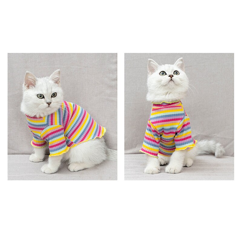 Huisdier Zomer Kleding Regenboog Serie Kleine Honden Dnd Katten Kleding Comfortabele Gebreide Trui Pet Lente En Zomer Kleren: Rainbow / XXL