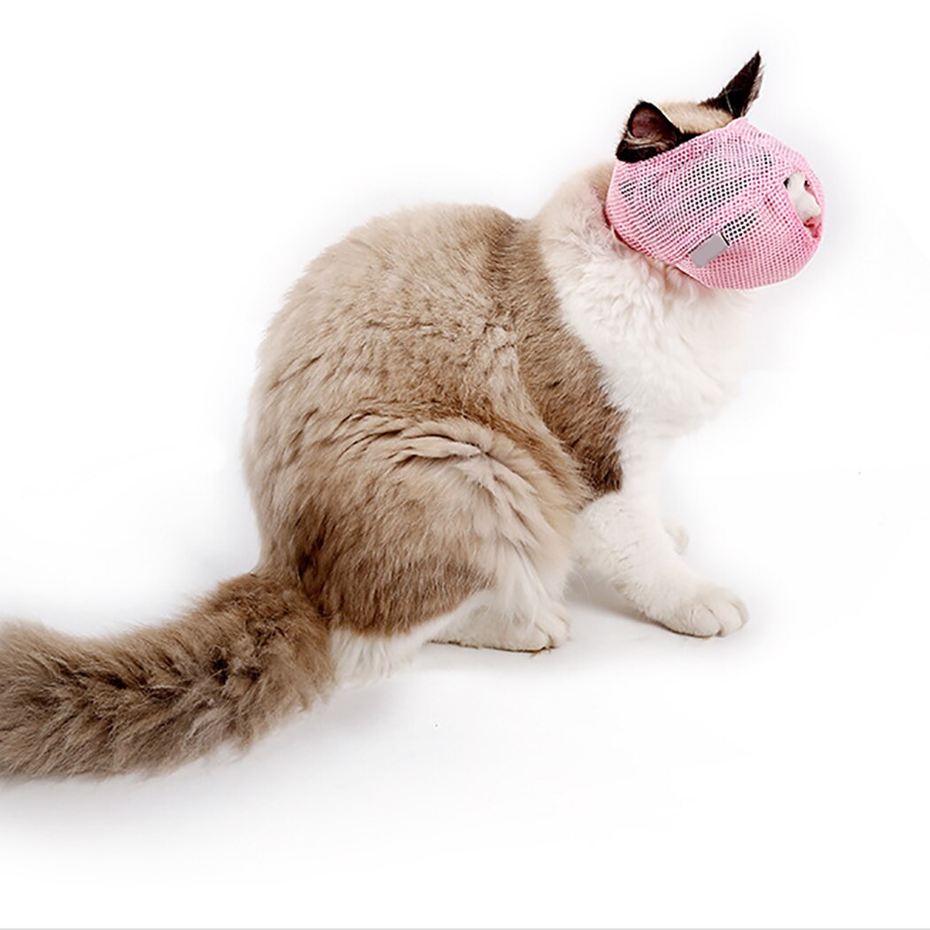 Muselière multi-fonction pour chat | Protection pour la bouche du chat, muselière Anti-morsure et respirante pour animaux de compagnie, outil de toilettage pour chats, directe