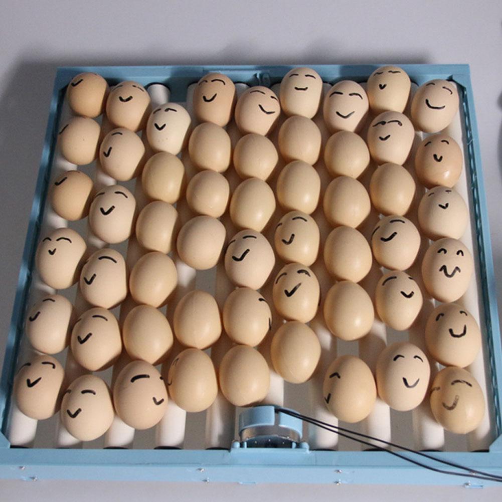 Incubadora automática multifunción con volteador de huevos para aves de corral y aves de corral, Bandeja para Huevos, herramientas de incubación de granja, 360 grados