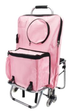 Bag for Artist,Bag Size 650x480 mm ,: 2  pink bag