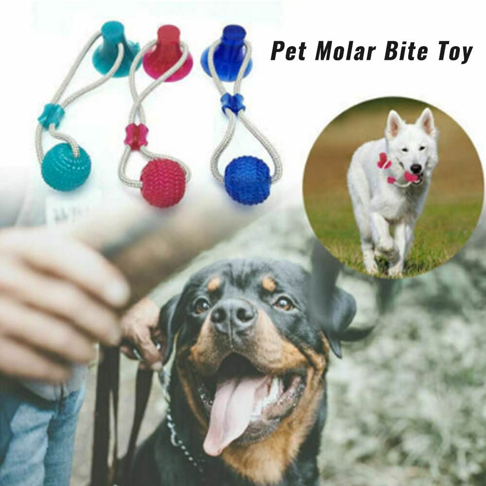 Pet Dog Toys Silicon Suction Cup Tug dog toy Dogs Push Ball Toy Pet Tooth Cleaning Dog Toothbrush for Puppy large Dog Biting Toy