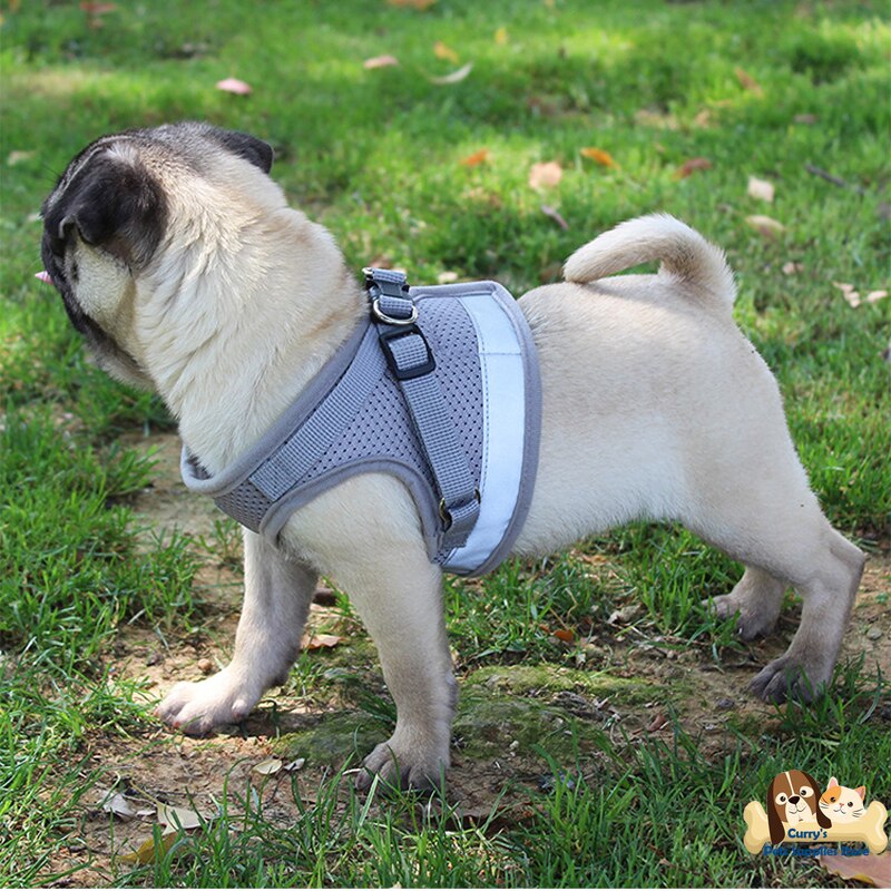 Pets Supplies Puppy Chihuahua Accessories Vest for Small Dog Harness Straps+Leash Lanyard Belt Set Walking Tractor Cheap Product