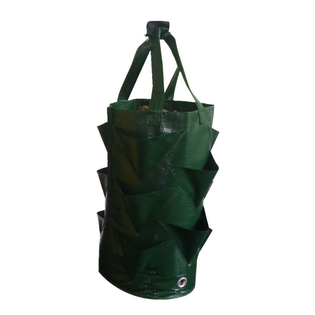 Strawberry Planting Bag Multi-mouth Container Bag Grow Planter Pouch Root Plant Growing Pot Bag Side Garden Home Tool: Green 
