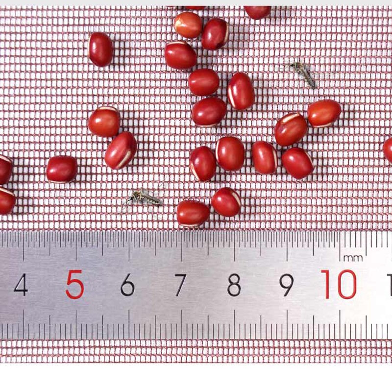 Anti Insect Fly Bug Mosquito Door Curtains Magnetic Door Screen Mesh Net Automatic Closing rideau de porte Window Net Curtain