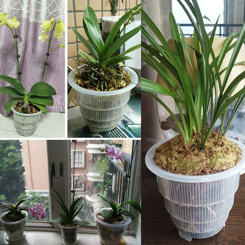 Clear Orchidee Bloem Container Planter Duurzaam Vlezige Bloempot Met Gaten Tuinieren Decoratie Va