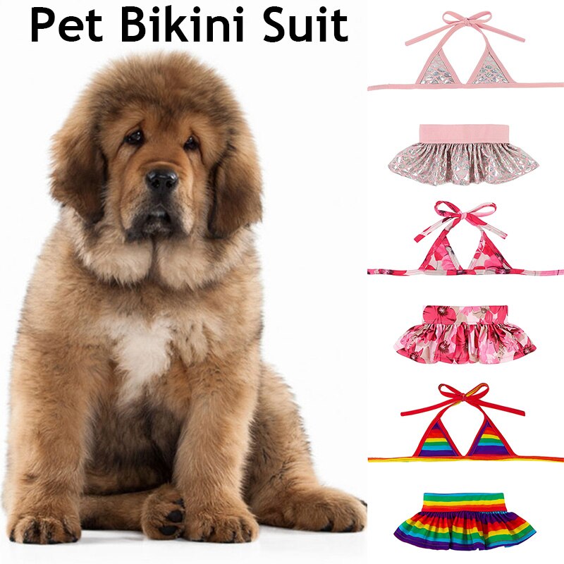 Maillot de bain d&#39;été pour chien, 2 pièces, mignon, Bikini, chiot, chiot, chat, vêtements de plage pour animaux de compagnie, pour petits chiens, vêtements d&#39;été