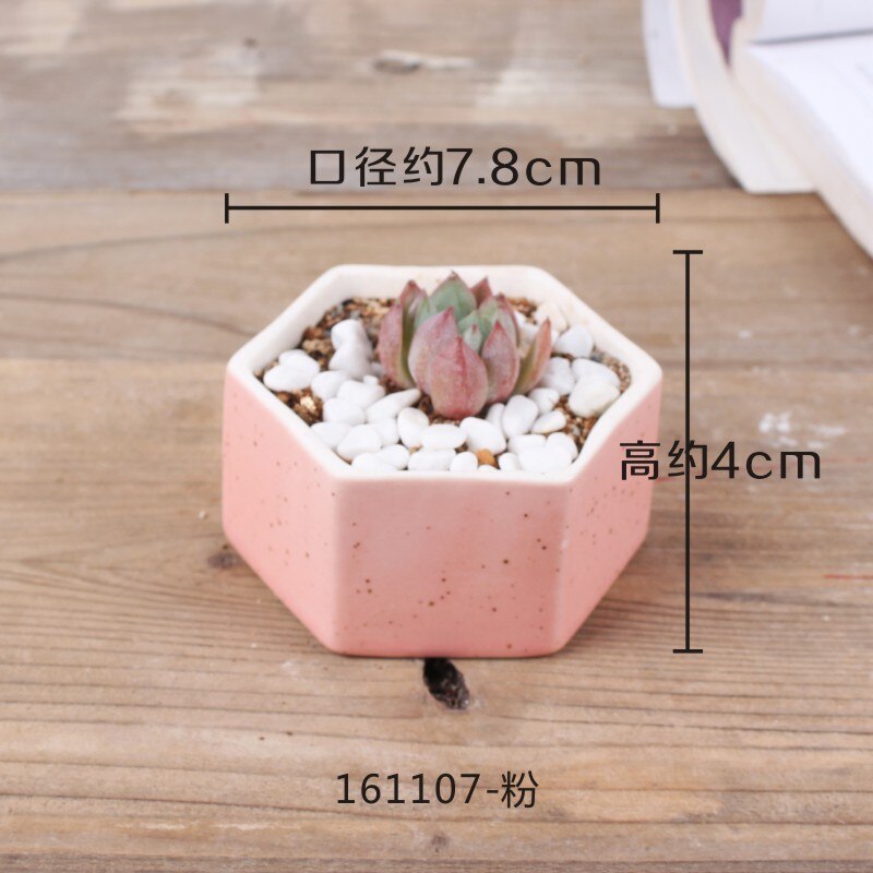 Maceta de cerámica pequeña y fresca con flor carnosa de JQWORV, macarrones arcoíris, macetero de dedo, plantación verde, adornos de escritorio, maceta: 6