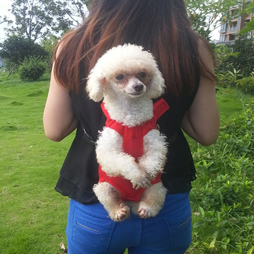 Draagbare Pet Dog Carrier Front Pack Borst Pack - Size (Rood)