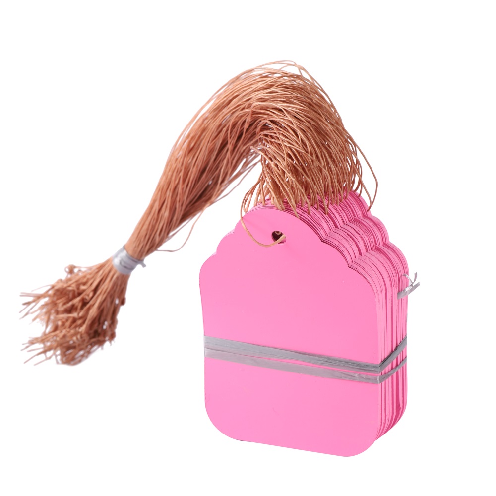 Marcadores para plantas colgantes, etiquetas para plántulas de bricolaje, para colgar flores de jardín, macetas de jardín, herramientas de clasificación de letreros, 100 unidades por lote: 4XL / plum