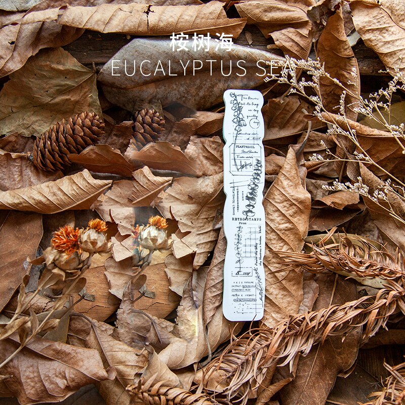 Vintage eucalyptus champignon skov blomst svamp klart stempel til scrapbooking album diy håndværk dekoration gummistempel: H