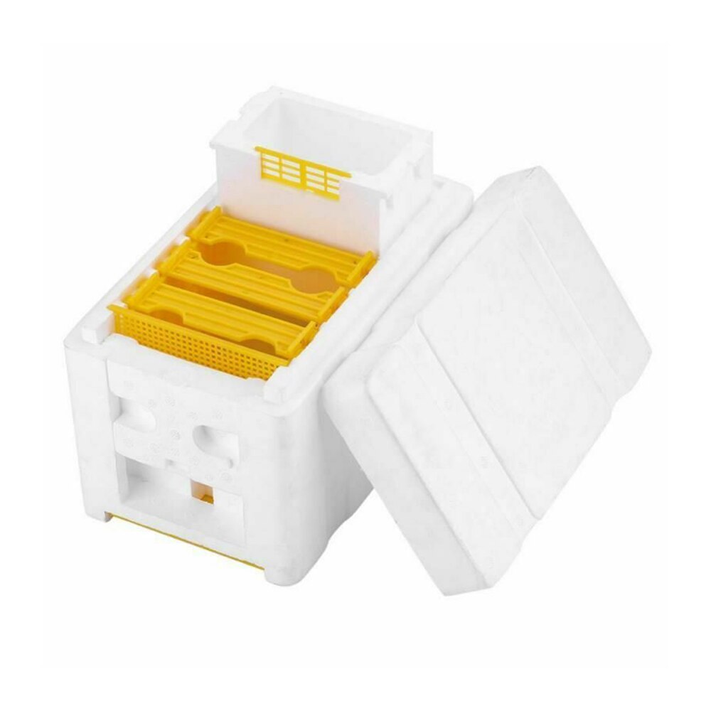 Caja colmena para practicar la colmena, apicultura de polinización de La Reina de la cosecha, herramienta de Apicultura