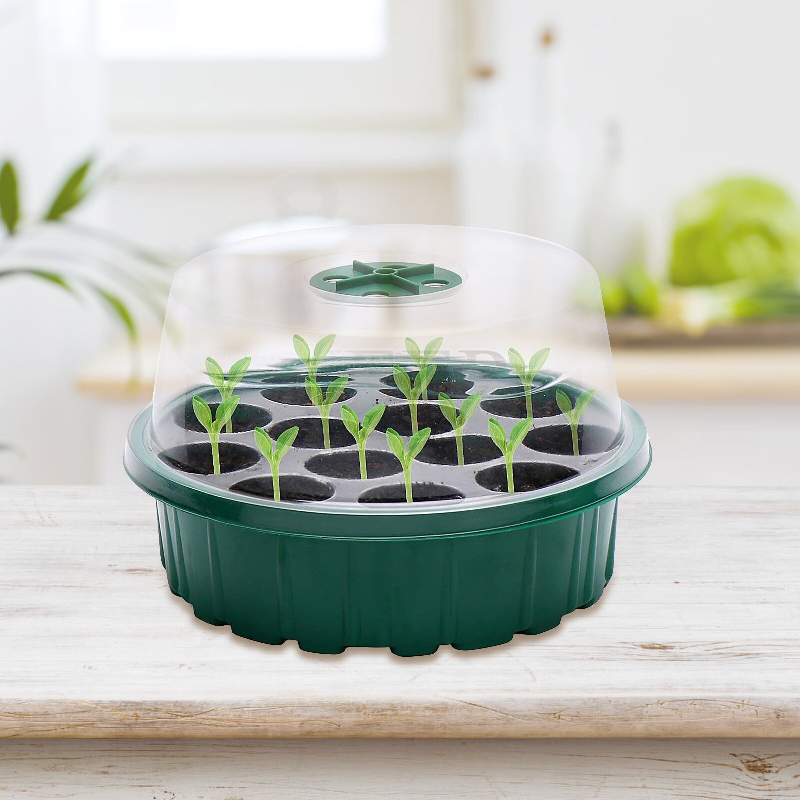 Seed Tray Freely Adjustable Humidity, A Miniature Seedling Tray Round Cover Greenhouse Startup Disk for Seed Growth Reproduction