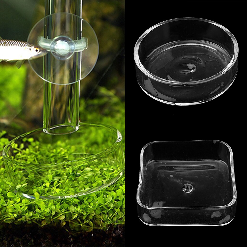 transparent Aquarium Garnelen Gericht Nützliche Aquarium Haustier Lebensmittel Wasser Zubringer Container