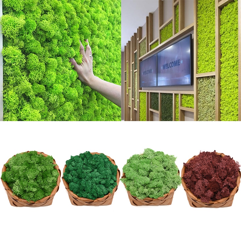 40g kunstig grønn plante mose diy bakgrunn vegg hage hjemmedekorasjon mini mikro landskap tilbehør