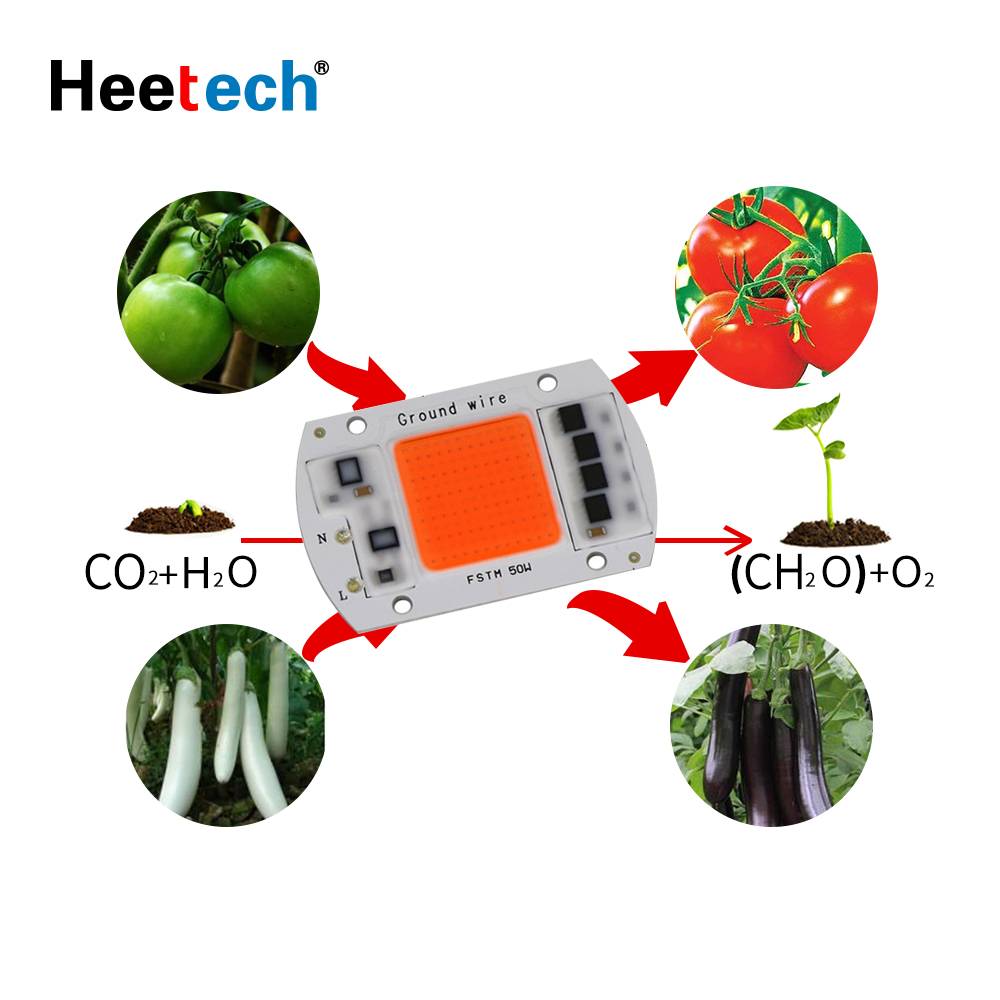 LED COB Chip Led Grow planta luz espectro completo flor lámpara 220V 240V 20W 30W 50W LED Grow lámpara para plantas de interior plántulas crecer