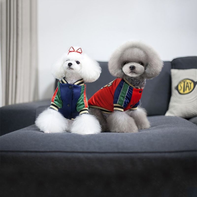 Varmt kæledyr hund vintertøj til små hunde chihuahua hvalp tyk jakke tiger broderi frakke yorkie outfit hunde kæledyr tøj