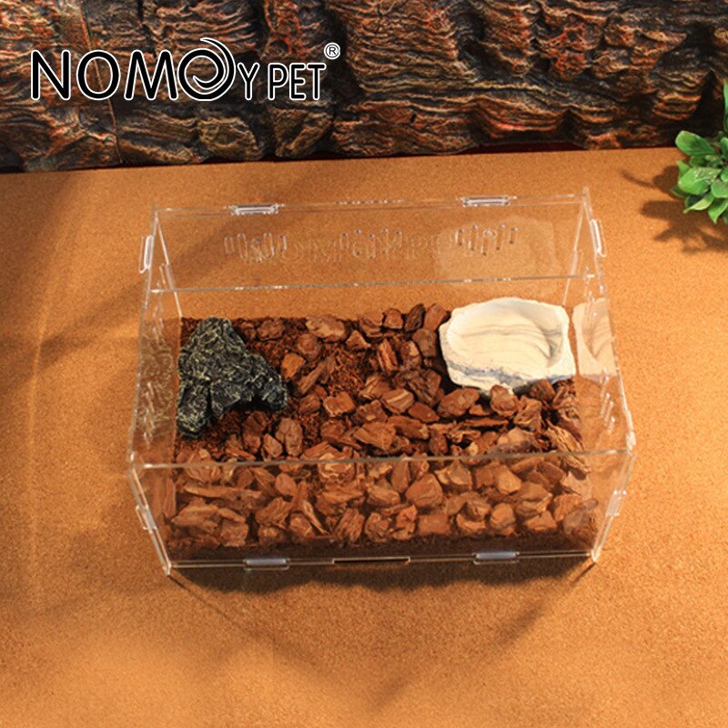 Boîte d&#39;élevage de reptiles en acrylique, réservoir amovible pour Terrarium Vivarium, lézard araignée, Micro espaces de reproduction des reptiles