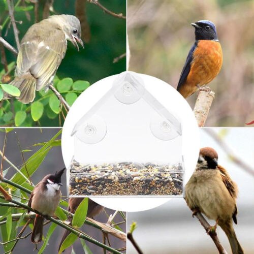 Transparent Acrylic Adsorption Type House Shape Bird Feeder Innovative Suction Cup Feeder