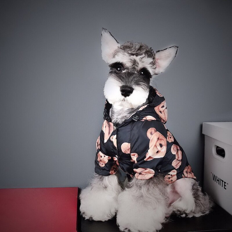 Abrigo impermeable para perros y gatos, gabardina para perros, Bulldog Francés, osito Schnauzer a prueba de viento y resistente a la lluvia, tendencia de