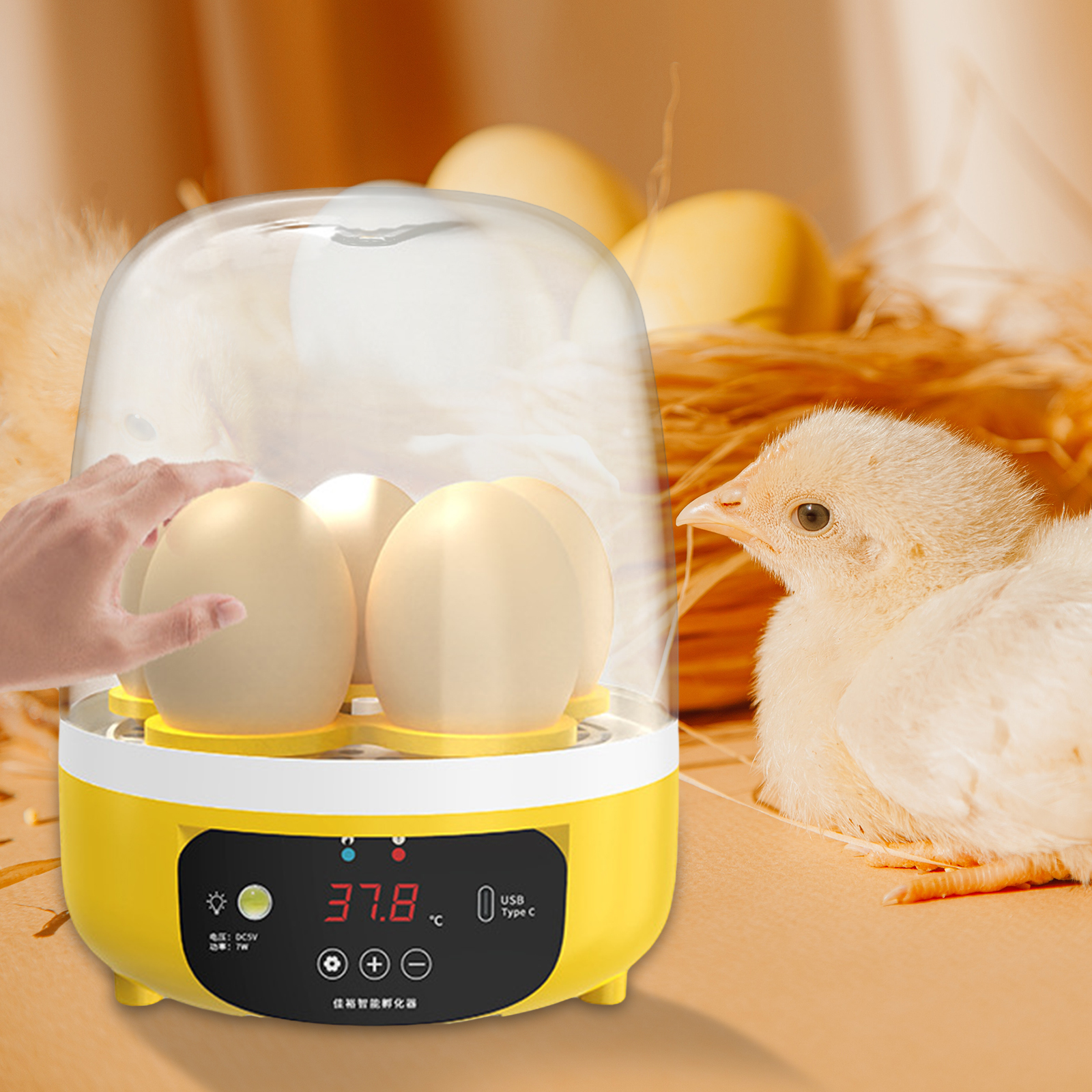 Mini incubadora Digital de 6 huevos para aves de corral, Control de temperatura, Candler de huevos para aves, Ganso, pollo, pato, codorniz, suministros