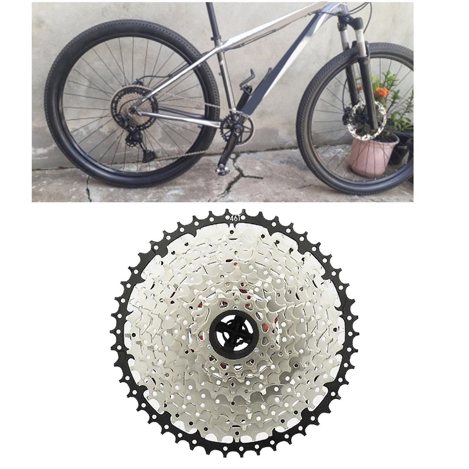 Bicycle Freewheel High-Tensile Steel Sprocket Bike Freewheel for Bicycle Maintenance Bicycle Flywheel Bike Modification: 11 speed 11-50T