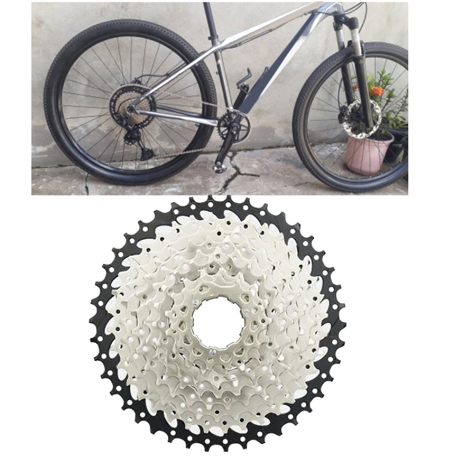 Bicycle Freewheel High-Tensile Steel Sprocket Bike Freewheel for Bicycle Maintenance Bicycle Flywheel Bike Modification: 10 speed 11-42T