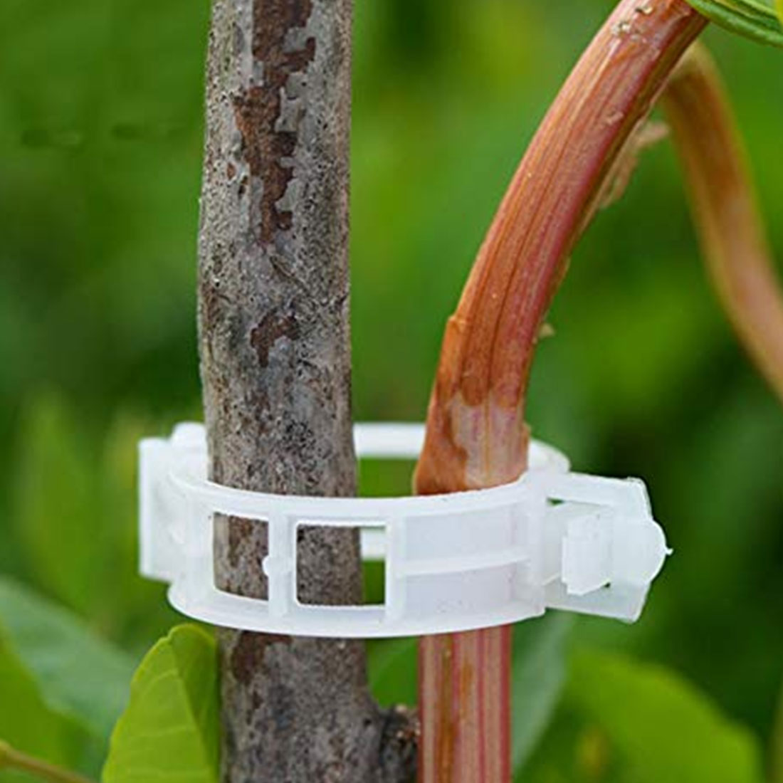 100 stk/parti tomathage planteklips til espalier hyssing drivhus tomat veggie hageplanteklips