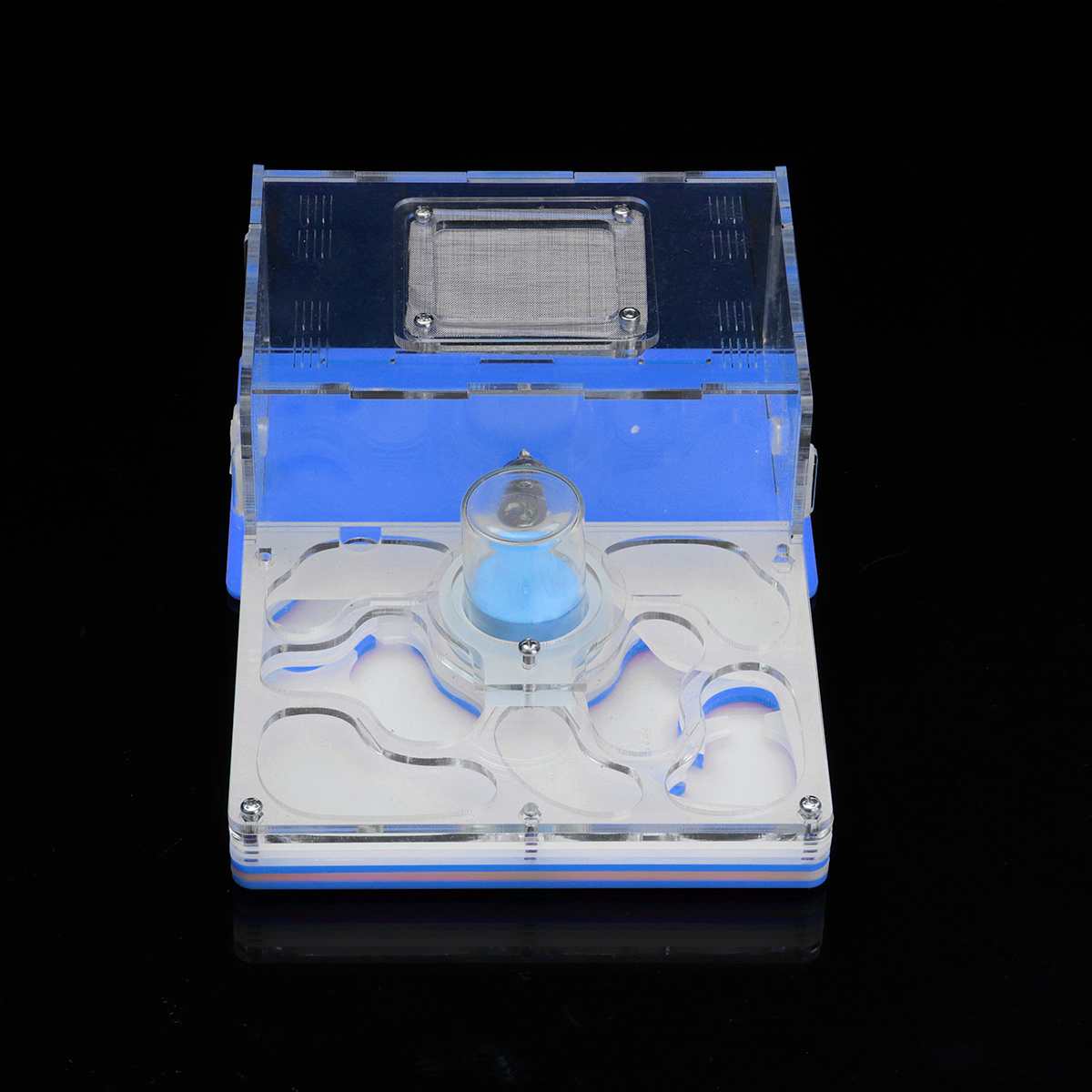 DIY Ameise Nest Ameise Bauernhof Ameisen Arbeit Pädagogisches Formicarium Acryl Insekt Ameise Nester Villa Haustier Manie Haus freundlicher: Blau