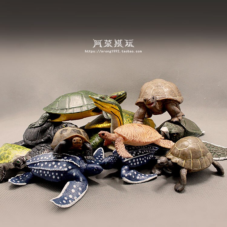 Miniaturen Sea Animal Model Lederschildpad Rode Oren Schildpad Land Schildpad Oceanen Wereld Aquarium Decor Action Figures Beeldjes Speelgoed