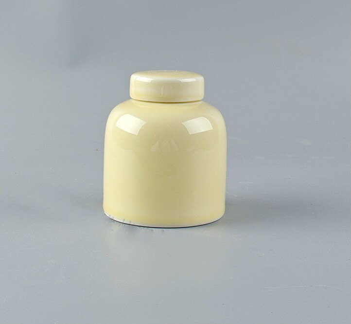 Urne commémorative pour animaux domestiques, pour chiens, chats, oiseaux, cendres de crémation, petits animaux, souris, lapins, poisson, cercueil pour petites pièces