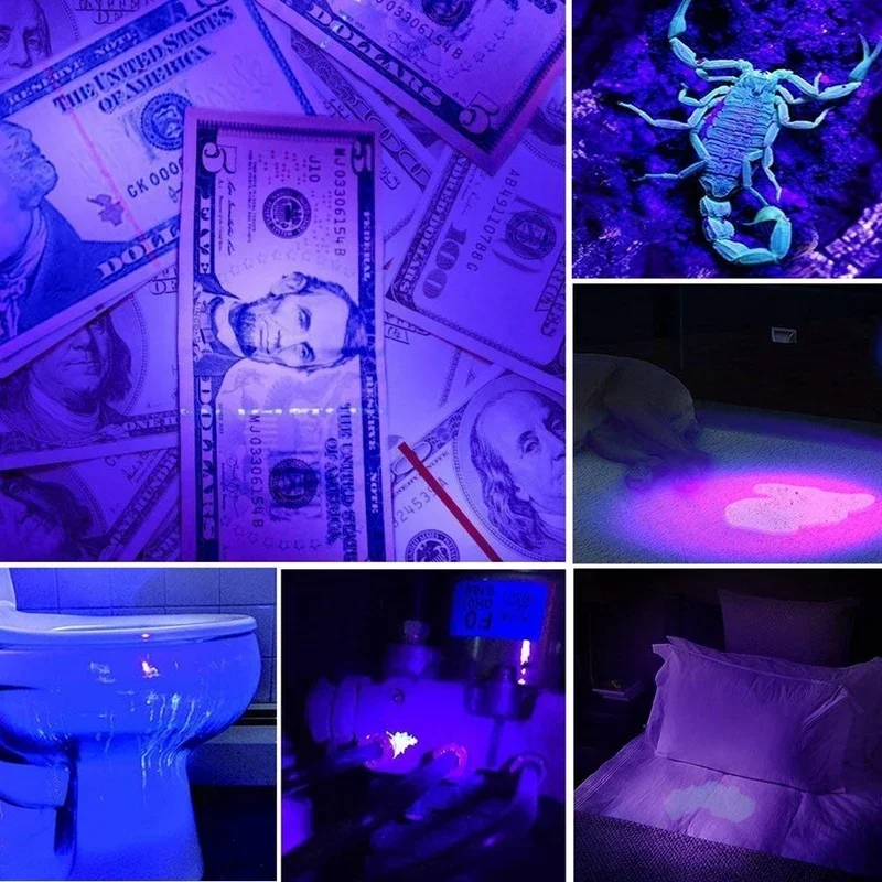 Linterna LED UV de 365/395nm, linterna ultravioleta portátil, lámpara de inspección con zoom, lámparas detectoras de manchas de escorpión y orina de mascotas