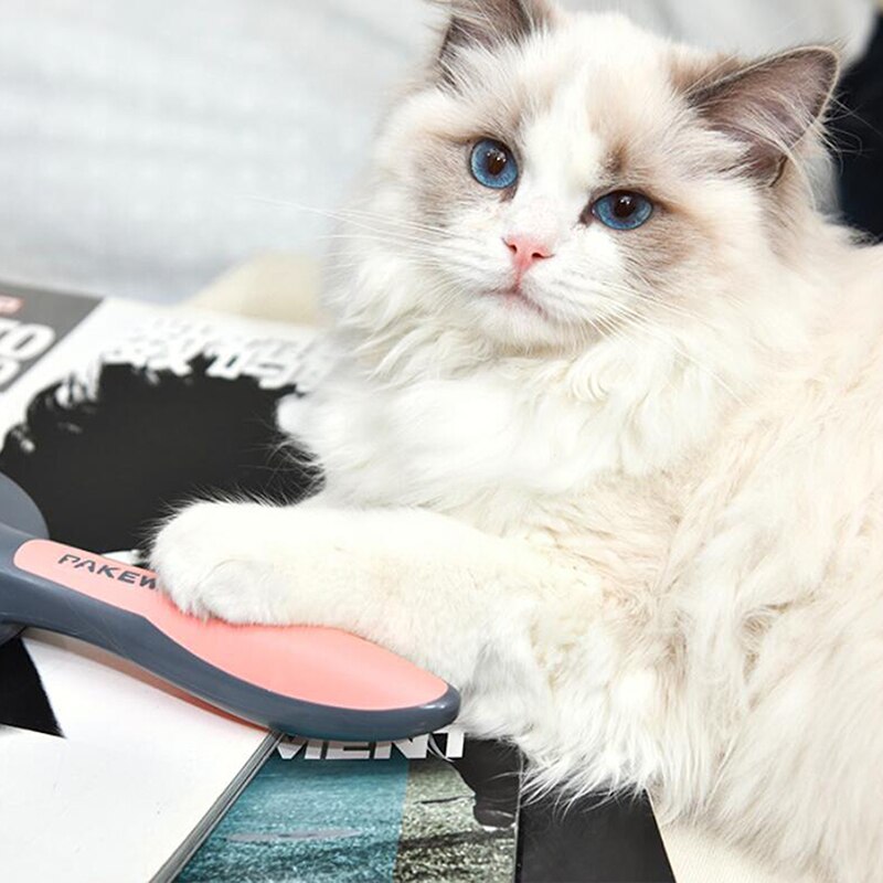 Huisdierkam, vlotter, automatische ontharing, teddybeer, vlooienkam, grote hond, gouden borstel, kammen, konijn, kattenkam