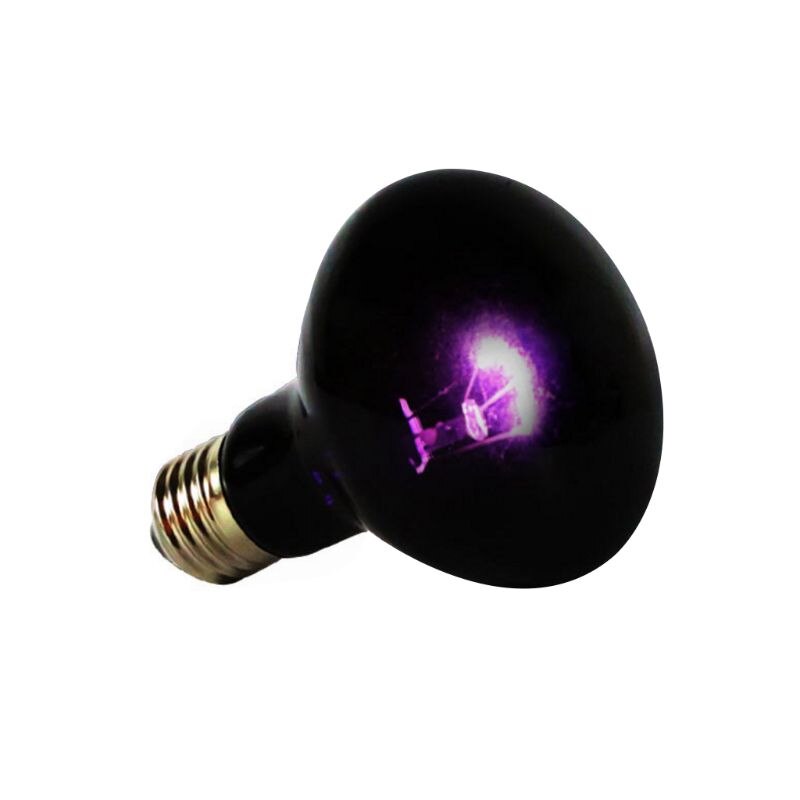 Reptile UVA Heating Lamp Climbing Pet Lizard Tortoise Heat Light Turtle Box Bulb Rearing Night Lights
